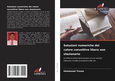 Buchcover von Soluzioni numeriche del calore convettivo libero non stazionario