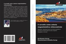 Il cervello come colonia magnetotattica mitocondriale的封面