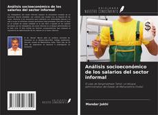 Análisis socioeconómico de los salarios del sector informal kitap kapağı