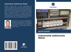 Industrielle elektrische Netze kitap kapağı