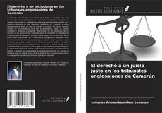 El derecho a un juicio justo en los tribunales anglosajones de Camerún的封面