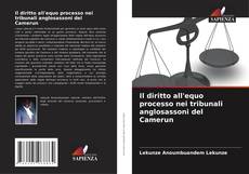 Il diritto all'equo processo nei tribunali anglosassoni del Camerun的封面