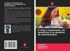 Bookcover of O leite é importante: Os benefícios e os desafios da amamentação