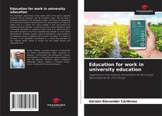 Обложка Education for work in university education