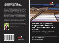 Bookcover of Trovare un laghetto di evaporazione efficace per l'estrazione del sale marino