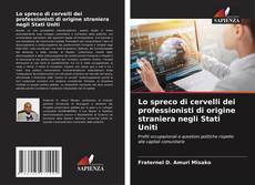 Buchcover von Lo spreco di cervelli dei professionisti di origine straniera negli Stati Uniti
