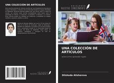 UNA COLECCIÓN DE ARTÍCULOS的封面