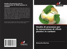 Studio di processo per la conversione di rifiuti plastici in carboni kitap kapağı