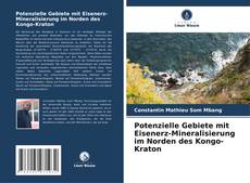 Potenzielle Gebiete mit Eisenerz-Mineralisierung im Norden des Kongo-Kraton kitap kapağı