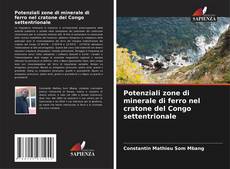 Buchcover von Potenziali zone di minerale di ferro nel cratone del Congo settentrionale