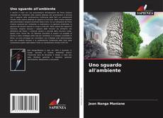 Bookcover of Uno sguardo all'ambiente