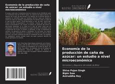 Bookcover of Economía de la producción de caña de azúcar: un estudio a nivel microeconómico