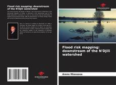 Portada del libro de Flood risk mapping: downstream of the N'Djili watershed