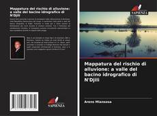 Обложка Mappatura del rischio di alluvione: a valle del bacino idrografico di N'Djili