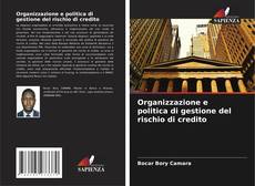 Buchcover von Organizzazione e politica di gestione del rischio di credito