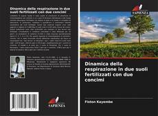 Bookcover of Dinamica della respirazione in due suoli fertilizzati con due concimi