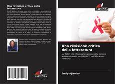 Una revisione critica della letteratura的封面