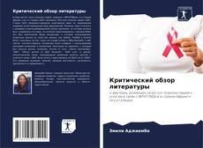 Bookcover of Критический обзор литературы