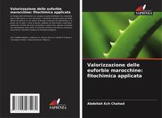 Valorizzazione delle euforbie marocchine: fitochimica applicata kitap kapağı
