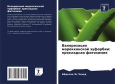 Bookcover of Валоризация марокканской эуфорбии: прикладная фитохимия
