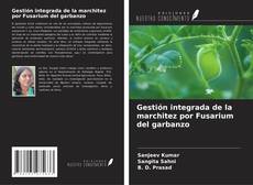 Couverture de Gestión integrada de la marchitez por Fusarium del garbanzo