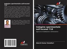 Bookcover of Indagine sperimentale sull'inconel 718