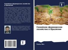 Buchcover von Семейное фермерское хозяйство в Бразилии