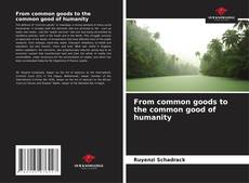 Capa do livro de From common goods to the common good of humanity 