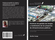 Bookcover of Prácticas de gestión de riesgos y rendimiento de los proyectos de infraestructuras públicas