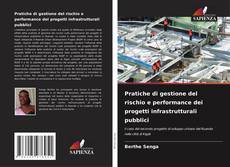 Buchcover von Pratiche di gestione del rischio e performance dei progetti infrastrutturali pubblici