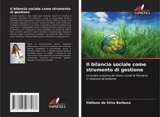 Buchcover von Il bilancio sociale come strumento di gestione