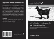 Bookcover of Antioxidantes vegetales en la reproducción caprina