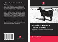 Antioxidante vegetal na reprodução de cabras kitap kapağı