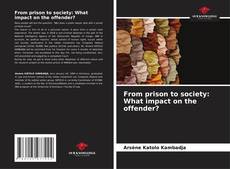 Bookcover of From prison to society: What impact on the offender?