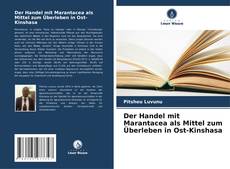 Der Handel mit Marantacea als Mittel zum Überleben in Ost-Kinshasa kitap kapağı