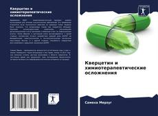 Buchcover von Кверцетин и химиотерапевтические осложнения