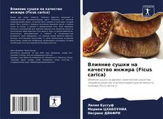 Buchcover von Влияние сушки на качество инжира (Ficus carica)