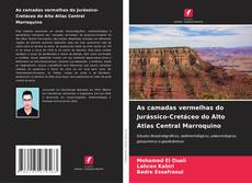 As camadas vermelhas do Jurássico-Cretáceo do Alto Atlas Central Marroquino的封面
