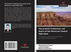 Couverture de The Jurassic-Cretaceous red layers of the Moroccan Central High Atlas