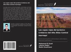 Couverture de Las capas rojas del Jurásico-Cretácico del Alto Atlas Central marroquí