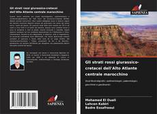 Portada del libro de Gli strati rossi giurassico-cretacei dell'Alto Atlante centrale marocchino
