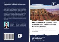 Юрско-меловые красные слои Центрального марокканского Высокого Атласа kitap kapağı