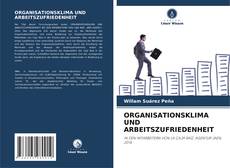 Copertina di ORGANISATIONSKLIMA UND ARBEITSZUFRIEDENHEIT