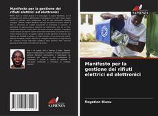 Manifesto per la gestione dei rifiuti elettrici ed elettronici的封面