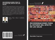 Bookcover of RECOMENDACIONES PARA EL ESTUDIO DEL EFECTO DE LAS SALES