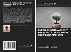 ENERGÍAS RENOVABLES Y DERECHO INTERNACIONAL DEL MEDIO AMBIENTE kitap kapağı