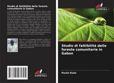 Studio di fattibilità delle foreste comunitarie in Gabon的封面