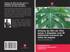Buchcover von Síntese de NPs de TiO2 puras e dopadas com Ni utilizando extracto de folha de papaia