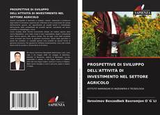 Buchcover von PROSPETTIVE DI SVILUPPO DELL'ATTIVITÀ DI INVESTIMENTO NEL SETTORE AGRICOLO