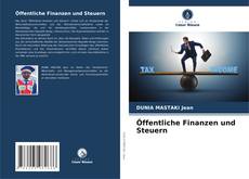 Copertina di Öffentliche Finanzen und Steuern